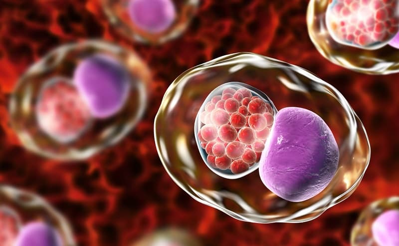 Nguyên nhân của hầu hết các bệnh lây qua đường tình dục là vi khuẩn, nấm và virus