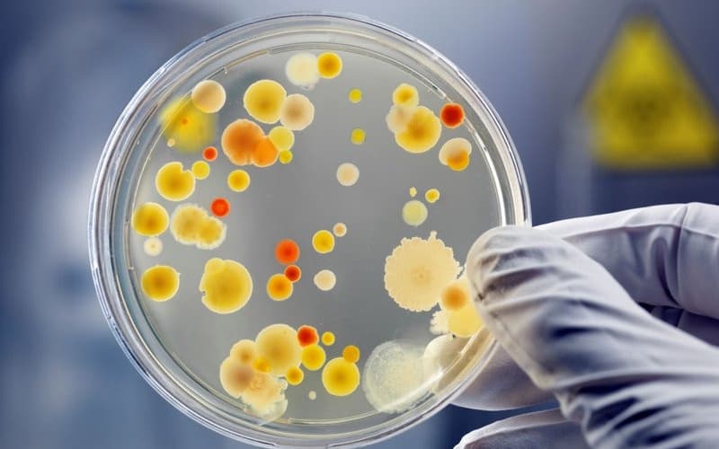 Cefixim 200mg tác dụng gì