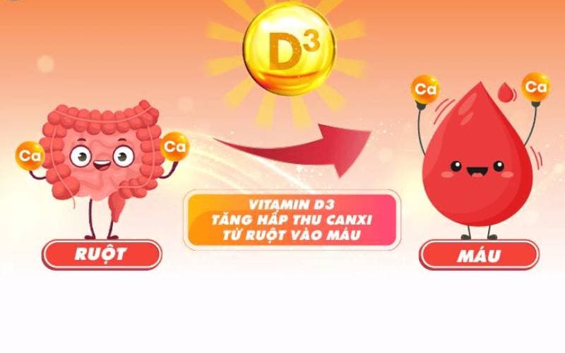 D3 dạng xịt có vai trò gì