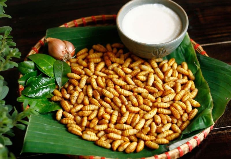 Dị ứng nhộng, còn được gọi là dị ứng protein côn trùng, là phản ứng miễn dịch quá mức của cơ thể đối với các protein có trong nhộng.