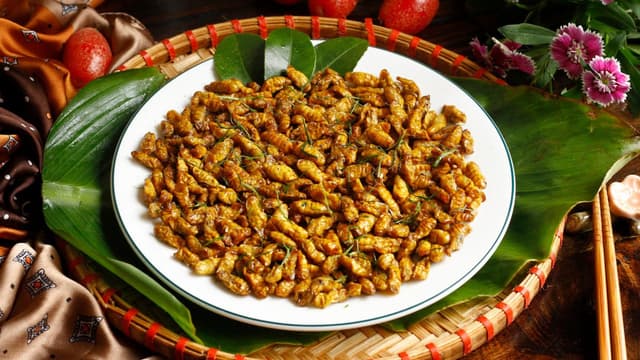 Dị ứng nhộng và tiêm vắc-xin: Những điều bạn cần biết