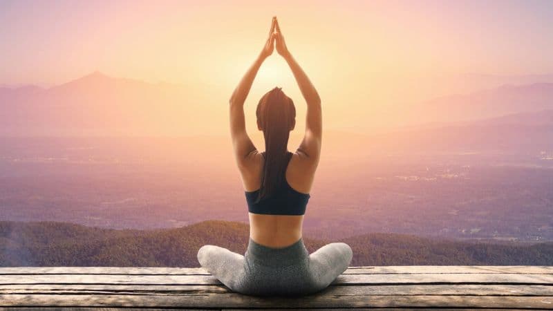 Sự đa dạng của các trường phái yoga