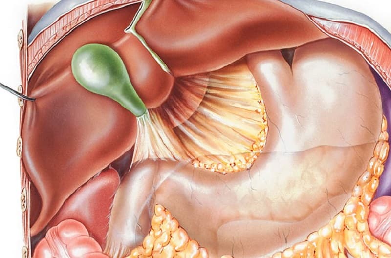 Hiện tượng trào ngược dịch mật là gì?