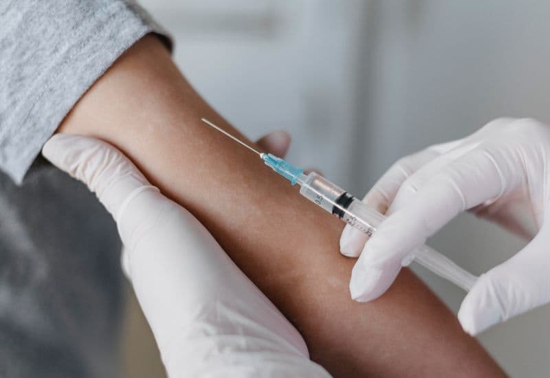 Những điều cần cân nhắc khi uống lá tía tô trước khi tiêm vắc-xin