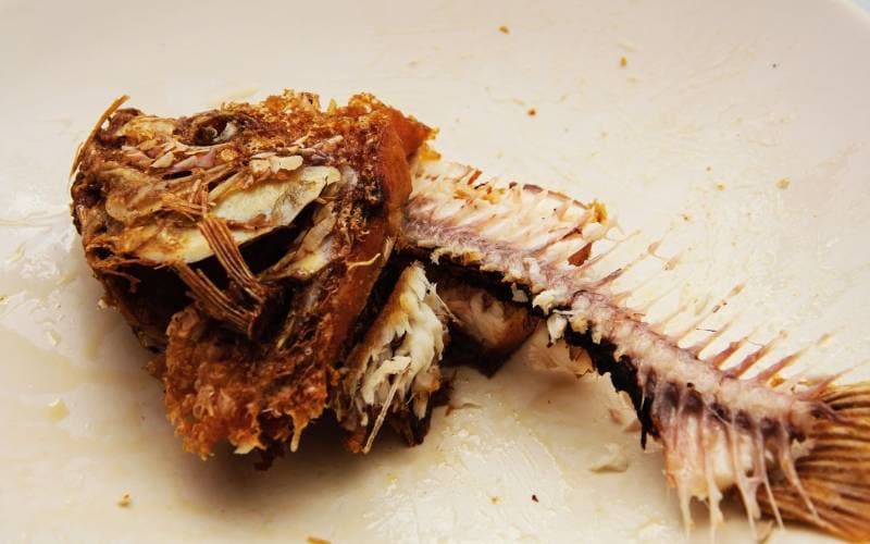 Xương cá có tự tiêu không hả bác sĩ