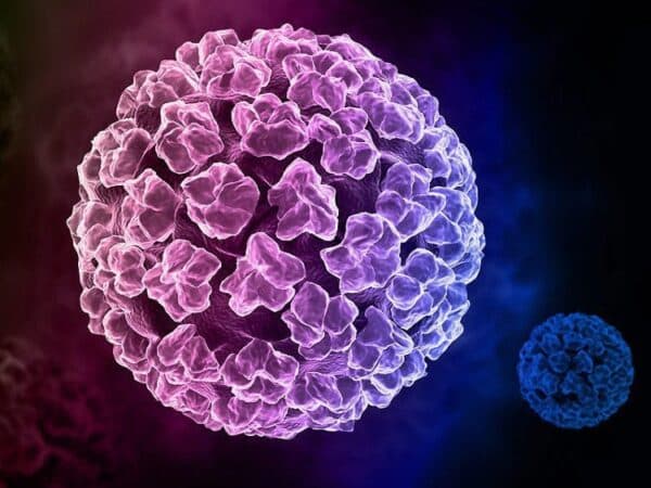 Tác động của HPV đối với cơ thể là rất nghiêm trọng.