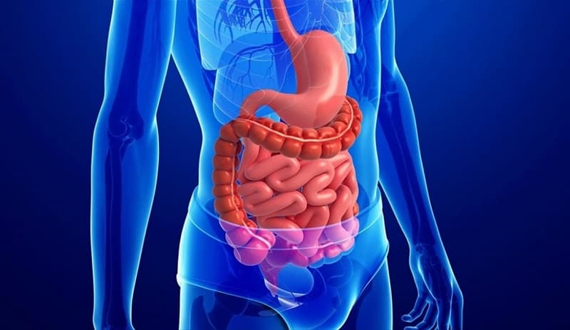 Nguyên nhân gây ợ liên tục