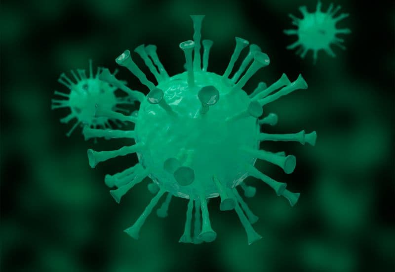 Sau vài tuần tiêm vắc-xin, cơ thể đã sẵn sàng chống lại mầm bệnh nếu bị phơi nhiễm.