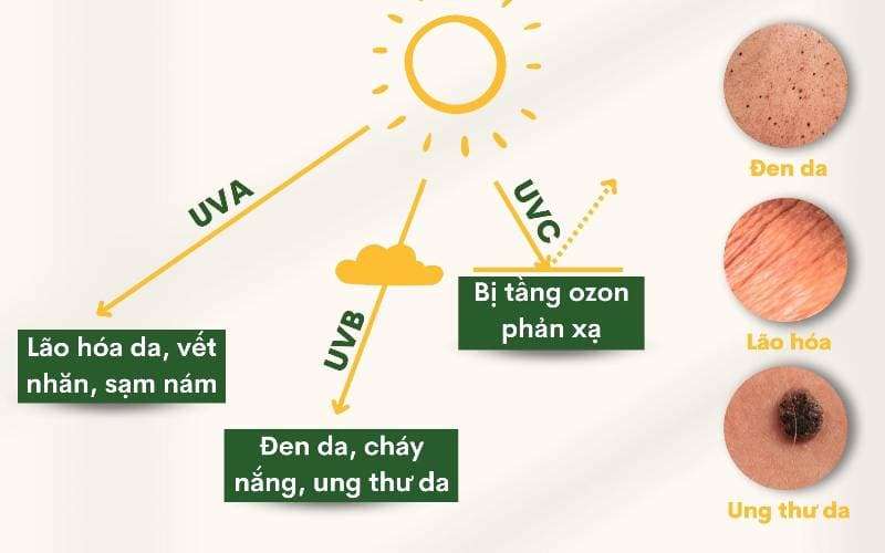 Tròng kính cận chống tia UV tốt nhất