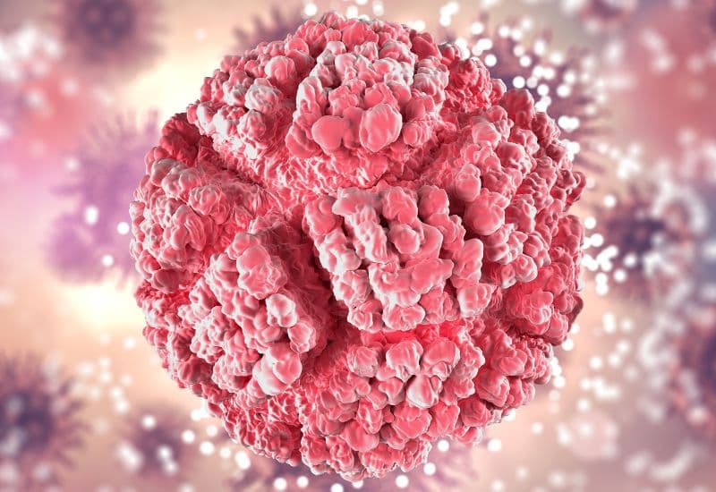 Nguyên nhân chính gây ung thư cổ tử cung là human papilloma virus (HPV).