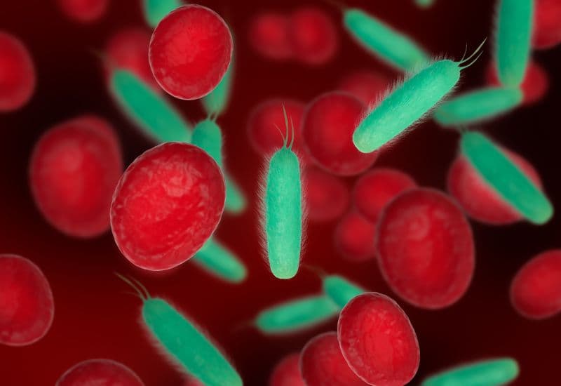 Bệnh truyền nhiễm cấp tính tả do vi khuẩn Vibrio cholerae gây ra.