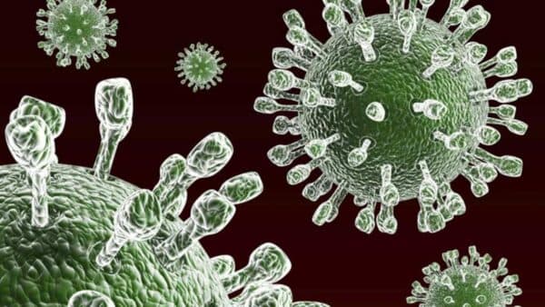 Virus Rota là một loại virus thuộc họ Reoviridae, gây ra bệnh tiêu chảy cấp tính ở trẻ em.