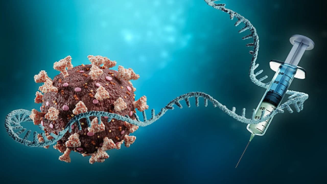 Những bệnh không được tiêm vacxin là điều mà nhiều người quan tâm