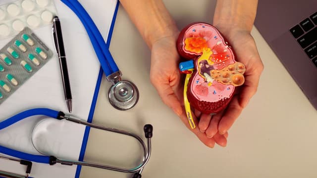 Khám thận ứ nước ở đâu tốt? Những lưu ý quan trọng khi đi khám