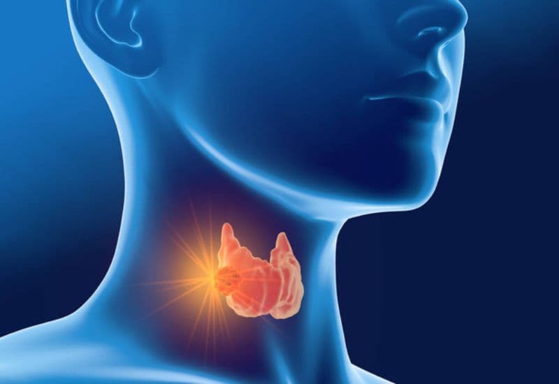 Các bệnh lý phổ biến liên quan đến tuyến giáp là gì?