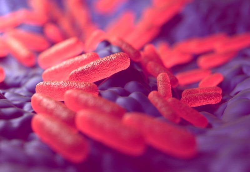 Kháng nguyên ho gà không độc tố là một trong những thành phần Pentaxim chính.