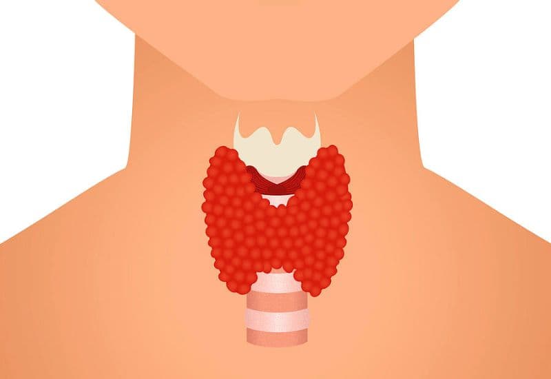 Tuyến giáp là gì?