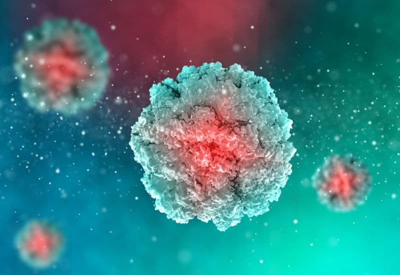 Vắc-xin tay chân miệng là một sản phẩm sinh học được phát triển nhằm tạo miễn dịch chủ động cho cơ thể chống lại virus gây tay chân miệng.