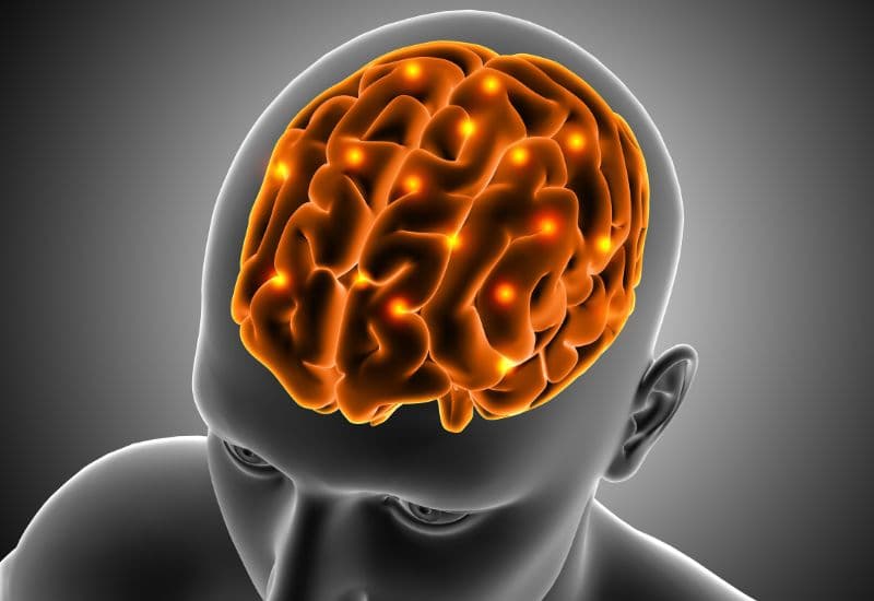 Tai biến, hay tai biến mạch máu não hoặc đột quỵ, xảy ra khi máu cung cấp đến một phần não bị gián đoạn hoặc giảm nghiêm trọng.