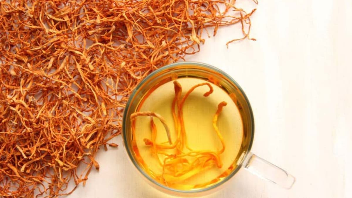 Những điều chưa biết về công dụng của đông trùng hạ thảo