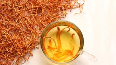 Những điều chưa biết về công dụng của đông trùng hạ thảo