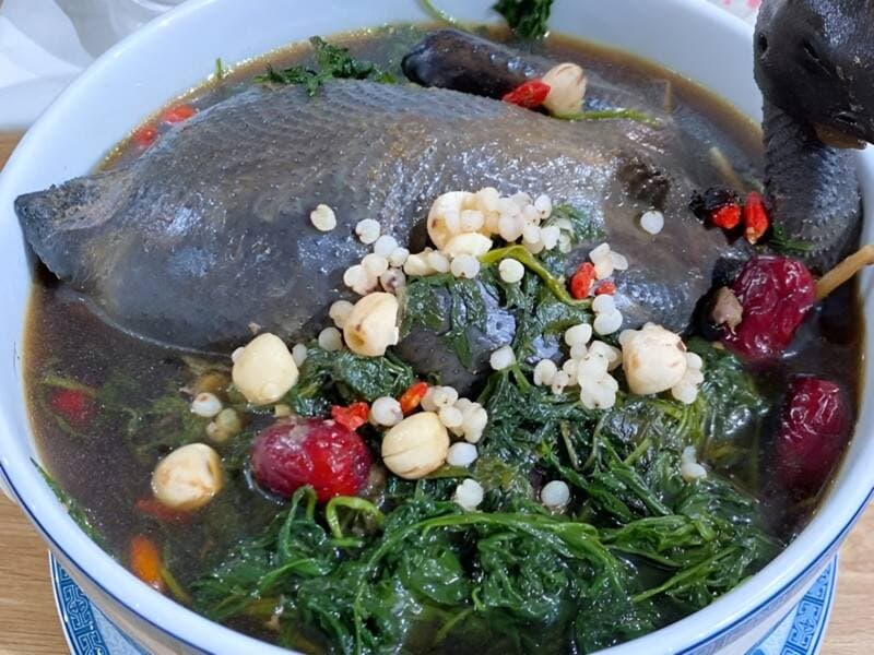 ngải cứu có tác dụng gì