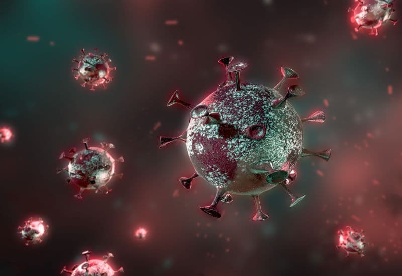 Protein là gì? Protein là nguyên liệu để tạo ra các kháng thể, giúp cơ thể chống lại vi khuẩn, virus và các tác nhân gây bệnh khác.