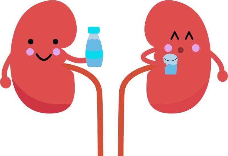 Các loại nước uống phù hợp cho người bị thận ứ nước