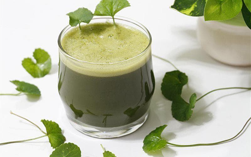 Rau má lành tính nên hỗ trợ nhiều trong vấn đề làm đẹp của chị em.