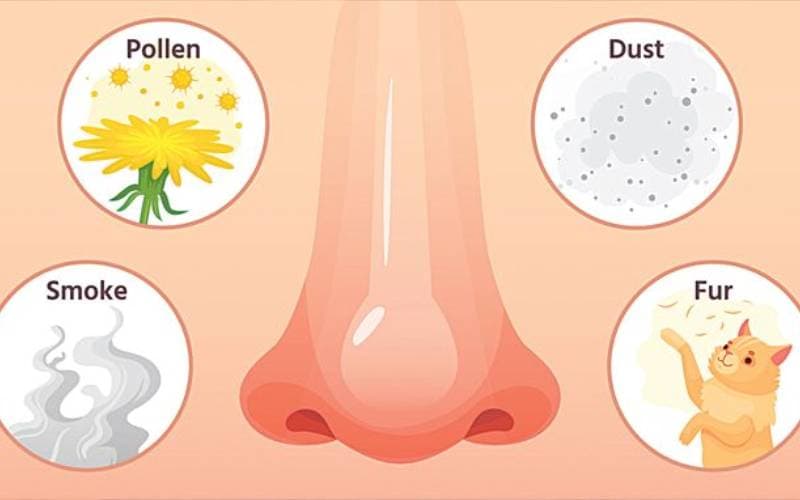 Viêm mũi dị ứng nguy hiểm không