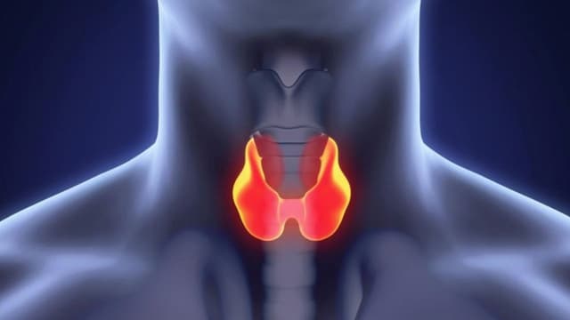 Bệnh Basedow: Nguyên nhân, triệu chứng và điều trị