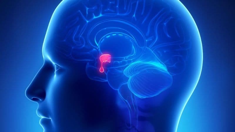 Bệnh suy tuyến yên gây ảnh hưởng đến sức khỏe như thế nào?