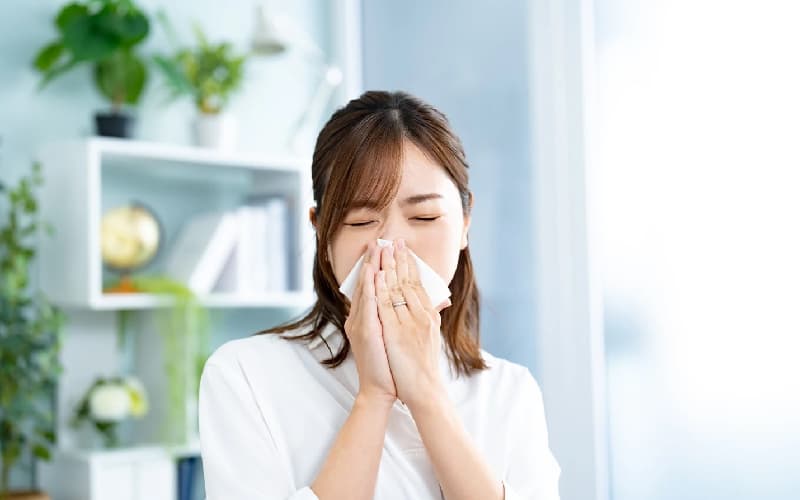 bị viêm mũi dị ứng thì sao