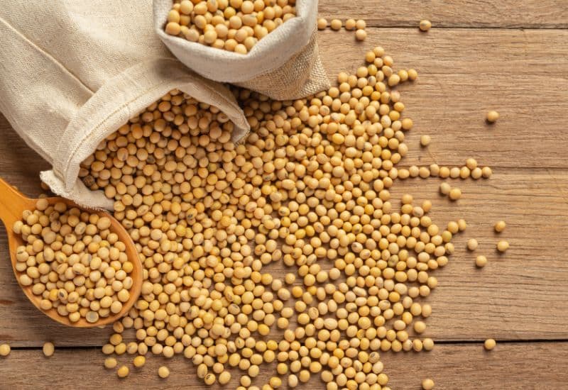 Cách bổ sung estrogen cho phụ nữ thông qua chế độ ăn uống tự nhiên