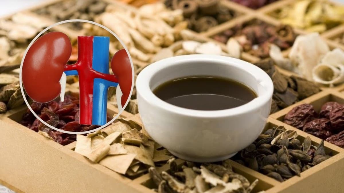 Sự thật về hậu quả điều trị thận ứ nước bằng thuốc nam