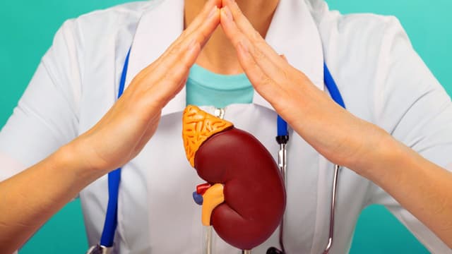 Giãn bể thận ở người lớn: Nguyên nhân và cách phòng tránh