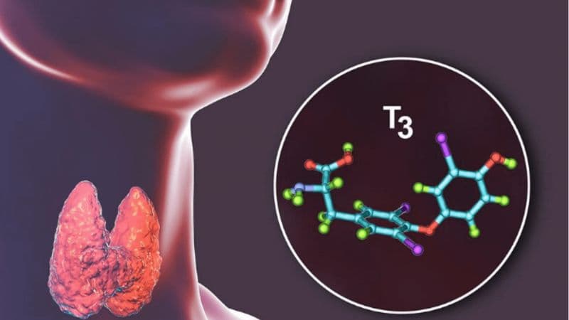 Cường giáp là gì?