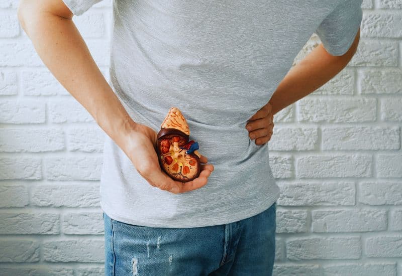 Vì sao sỏi tiết niệu có thể tái phát?