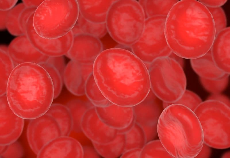 Giải đáp chi tiết thắc mắc: Thiếu vitamin B12 gây bệnh gì?