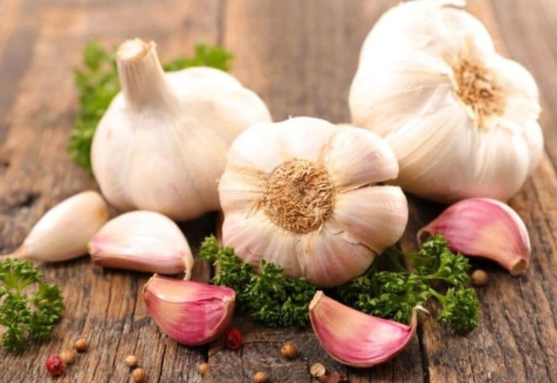 Trào ngược dạ dày có nên ăn tỏi không