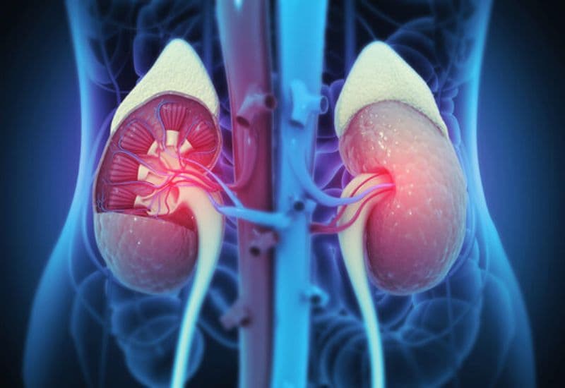 Mức độ nguy hiểm khi bị ứ nước thận hai bên