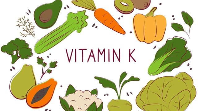 Vitamin K – Tác dụng và cách bổ sung phù hợp
