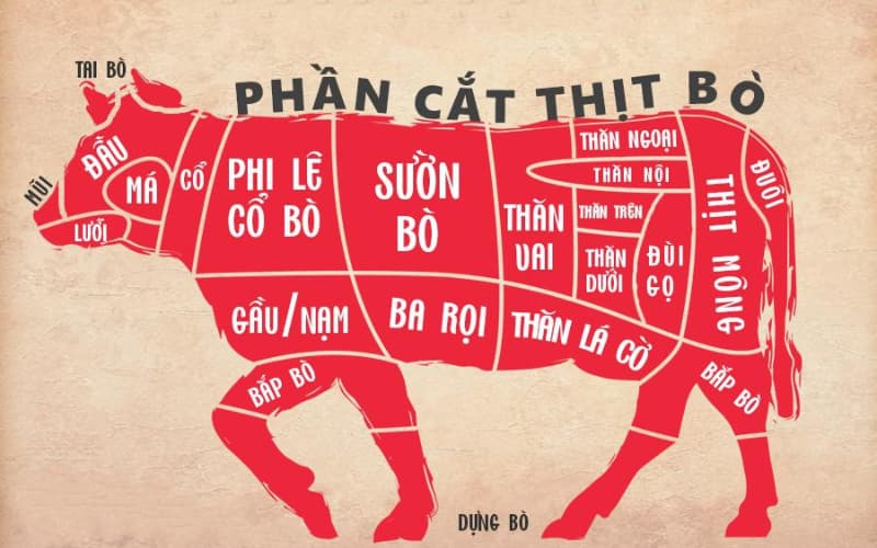 Thông tin 100g thịt bò bao nhiêu calo