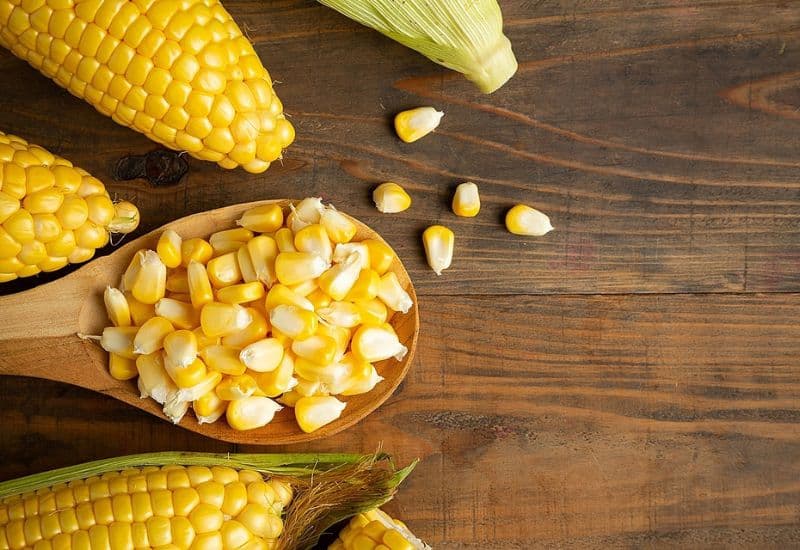 trào ngược dạ dày ăn ngô được không