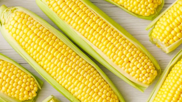 Tìm hiểu xem trào ngược dạ dày ăn ngô được không?