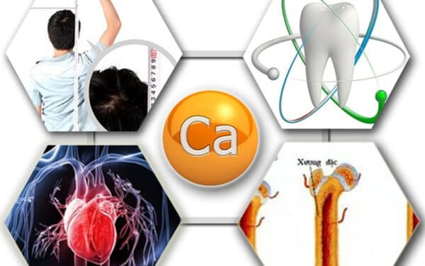 Canxi là một khoáng chất thiết yếu, đóng vai trò quan trọng trong việc xây dựng và duy trì sức khỏe của xương, răng.