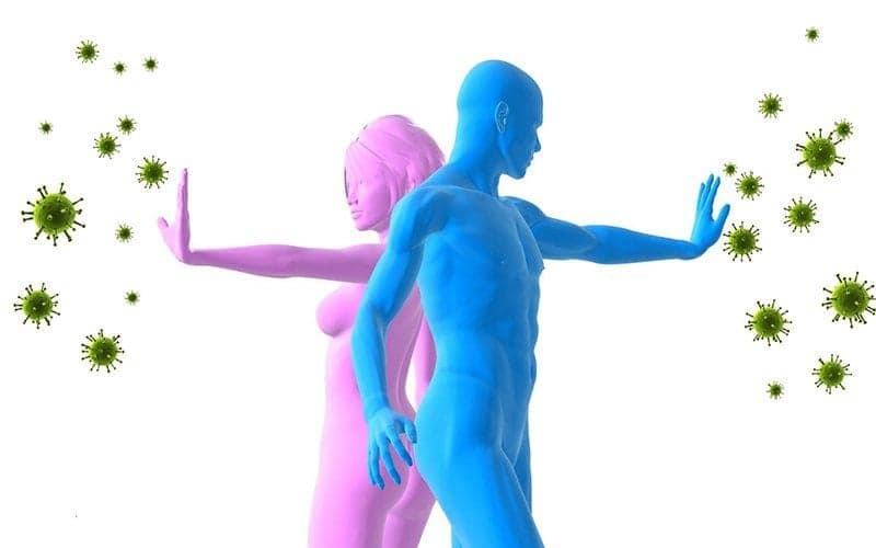 Vitamin C hỗ trợ hệ miễn dịch bằng cách tăng cường hoạt động của bạch cầu.