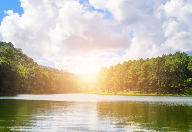 Gốc tự do là những phân tử không ổn định, thiếu electron, được tạo ra từ các quá trình trao đổi chất tự nhiên hoặc do tác động từ môi trường như tia UV, khói bụi, và hóa chất.