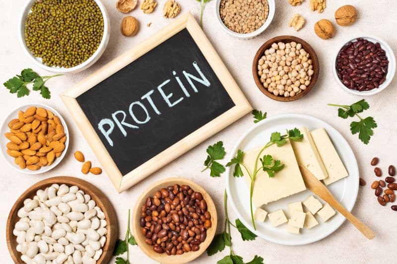 chức năng của protein