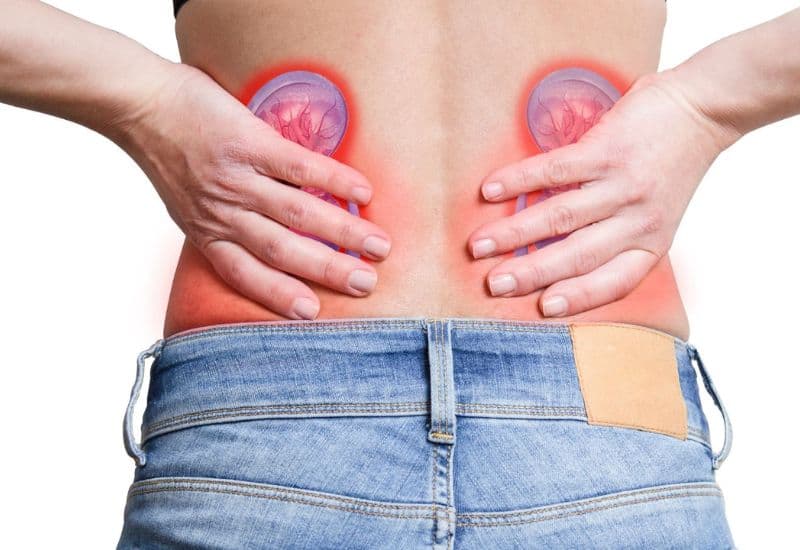 Đặc điểm đau do sỏi trong đường tiết niệu